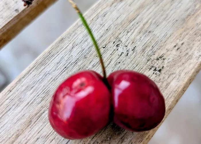 アパート Klaus Siegritzberg